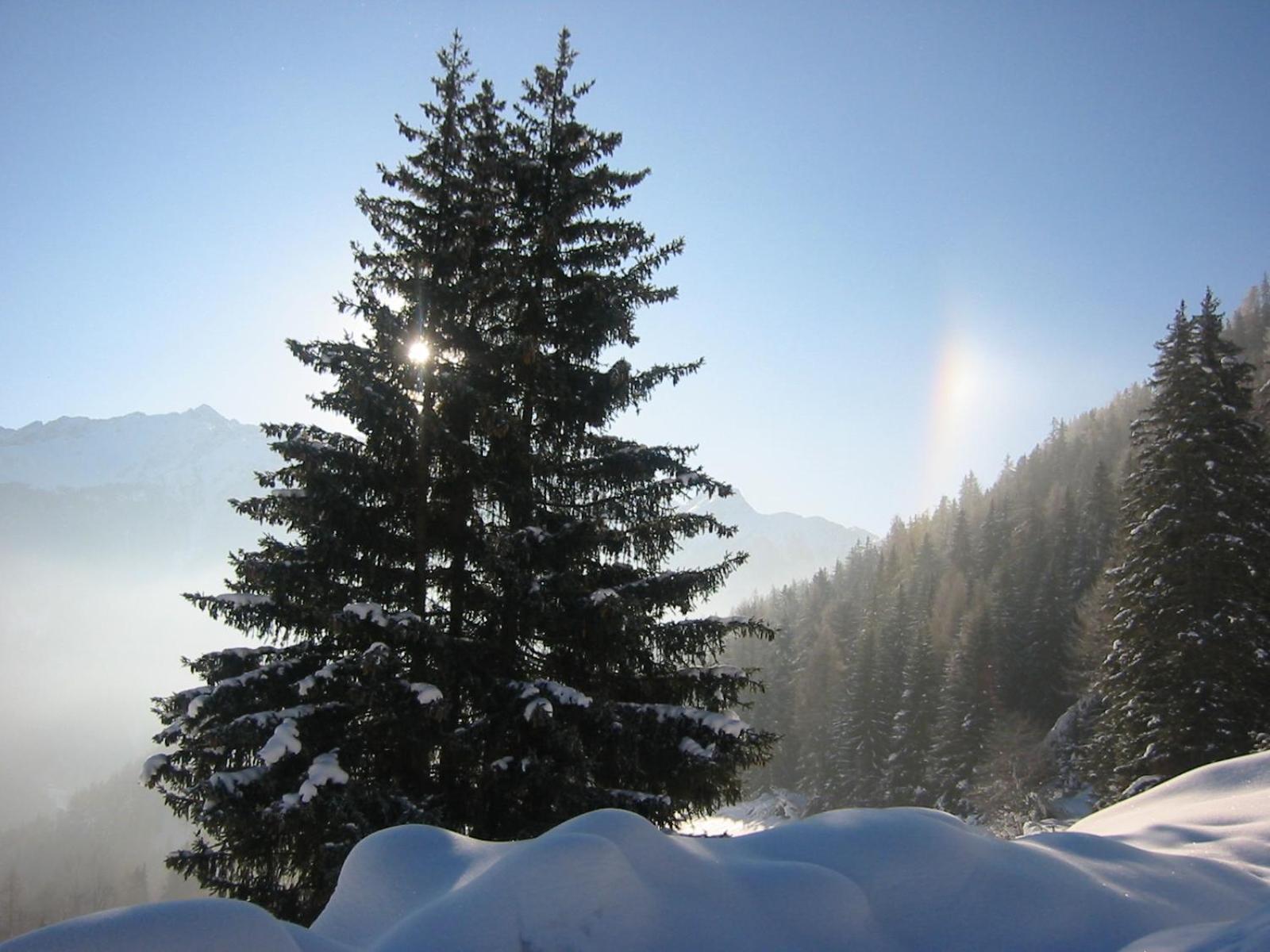Laerchenhof Serfaus Dış mekan fotoğraf