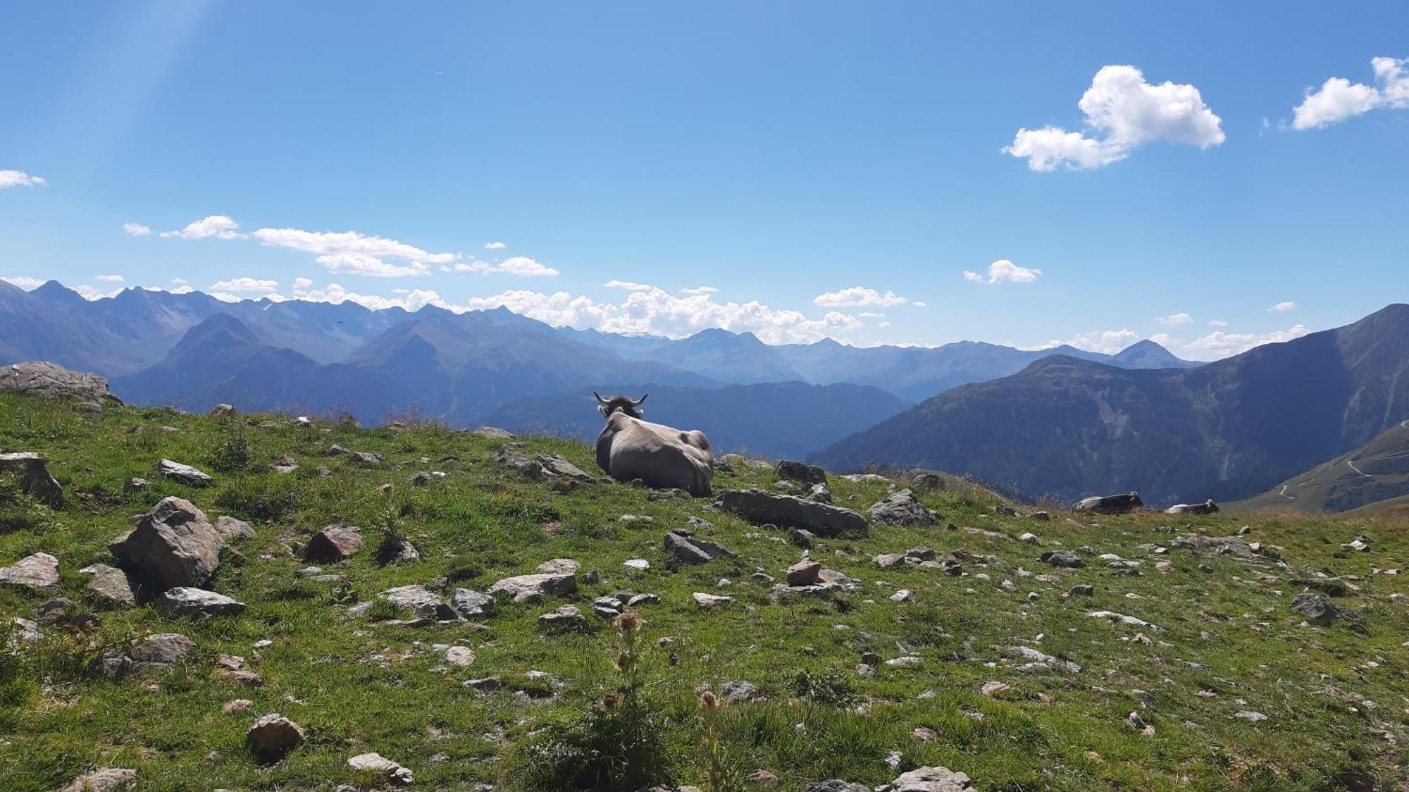 Laerchenhof Serfaus Dış mekan fotoğraf